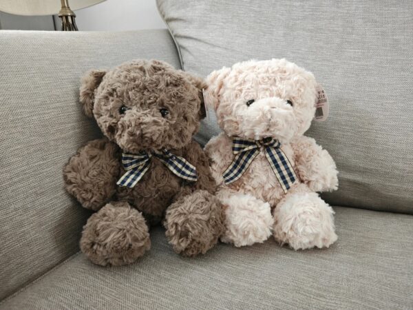 Brown & White Teddies